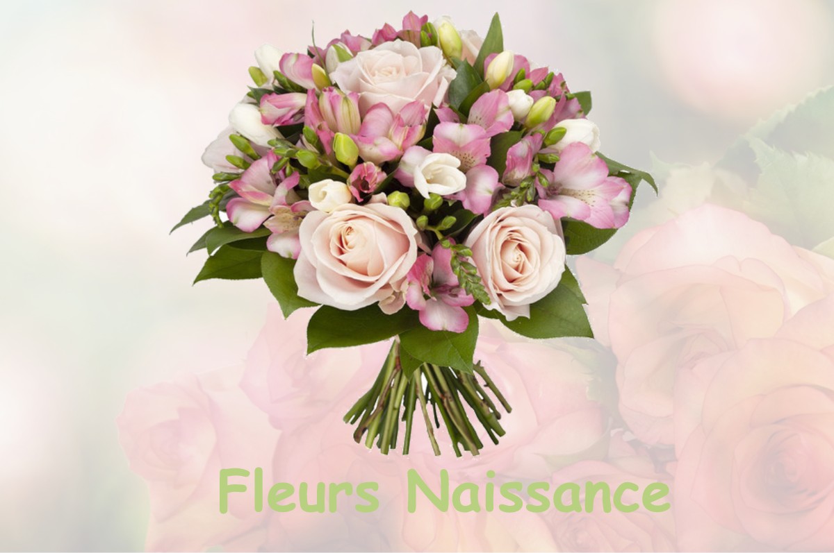 fleurs naissance BISSEY-SOUS-CRUCHAUD